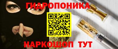 apvp Гусев