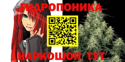 молекула духа Гусиноозёрск