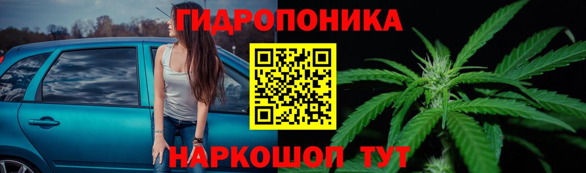 Бошки марихуана планчик  Вход с VPN  Бошки марихуана ГИДРОПОН  Канабис Ganja  Новоалтайск 